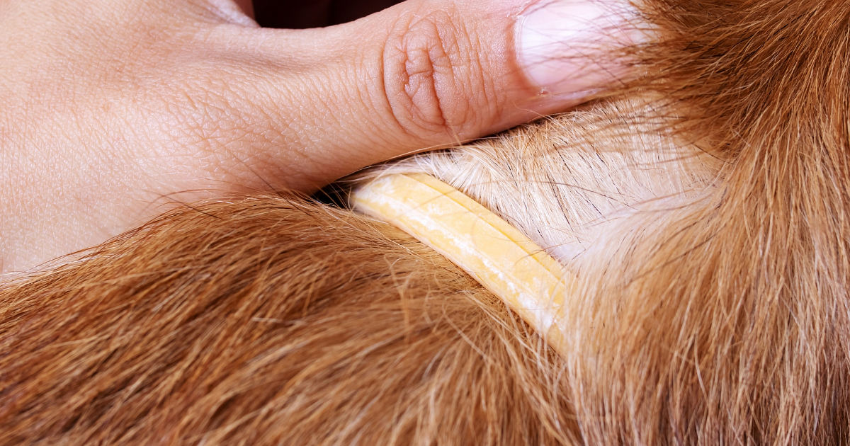 Wyjazdy incentive (52).png