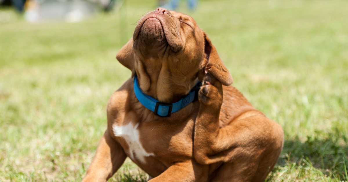 Wyjazdy incentive (54).png